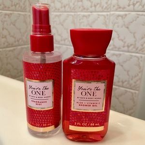 Bath & Body Works Mist & Shower Gel